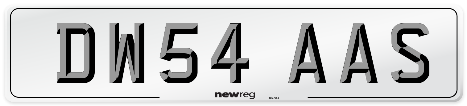 DW54 AAS Number Plate from New Reg